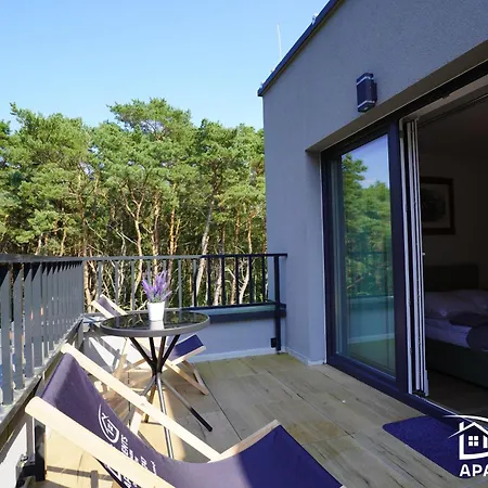 Pine Tree House 10 D&d *