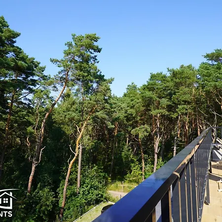 Pine Tree House 10 D&d Appartement Międzywodzie